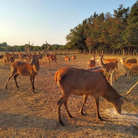 Ferme De L'Etang - Gite Epuisay Esterno foto